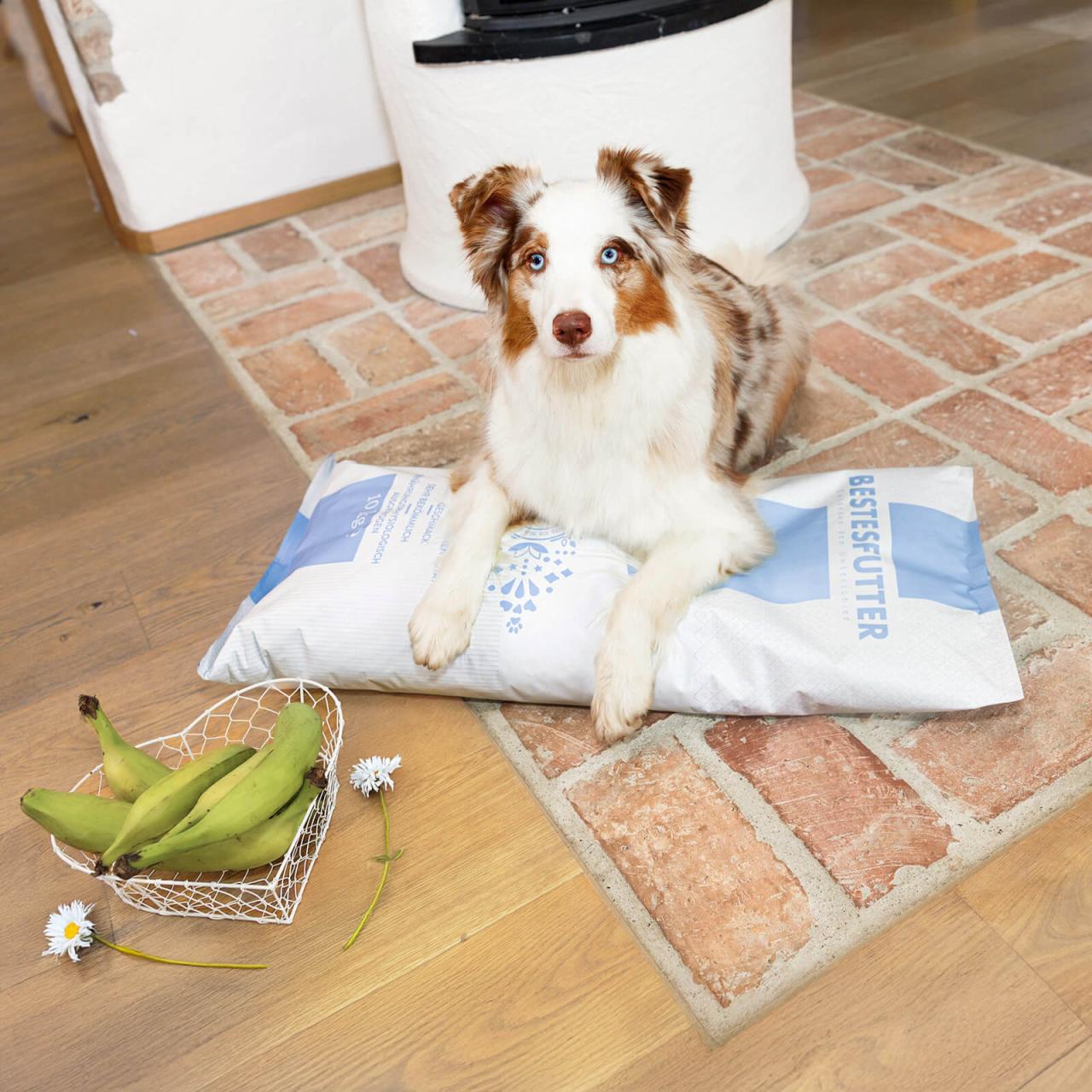hundefutter_bestesfutter_magic_mit_banane