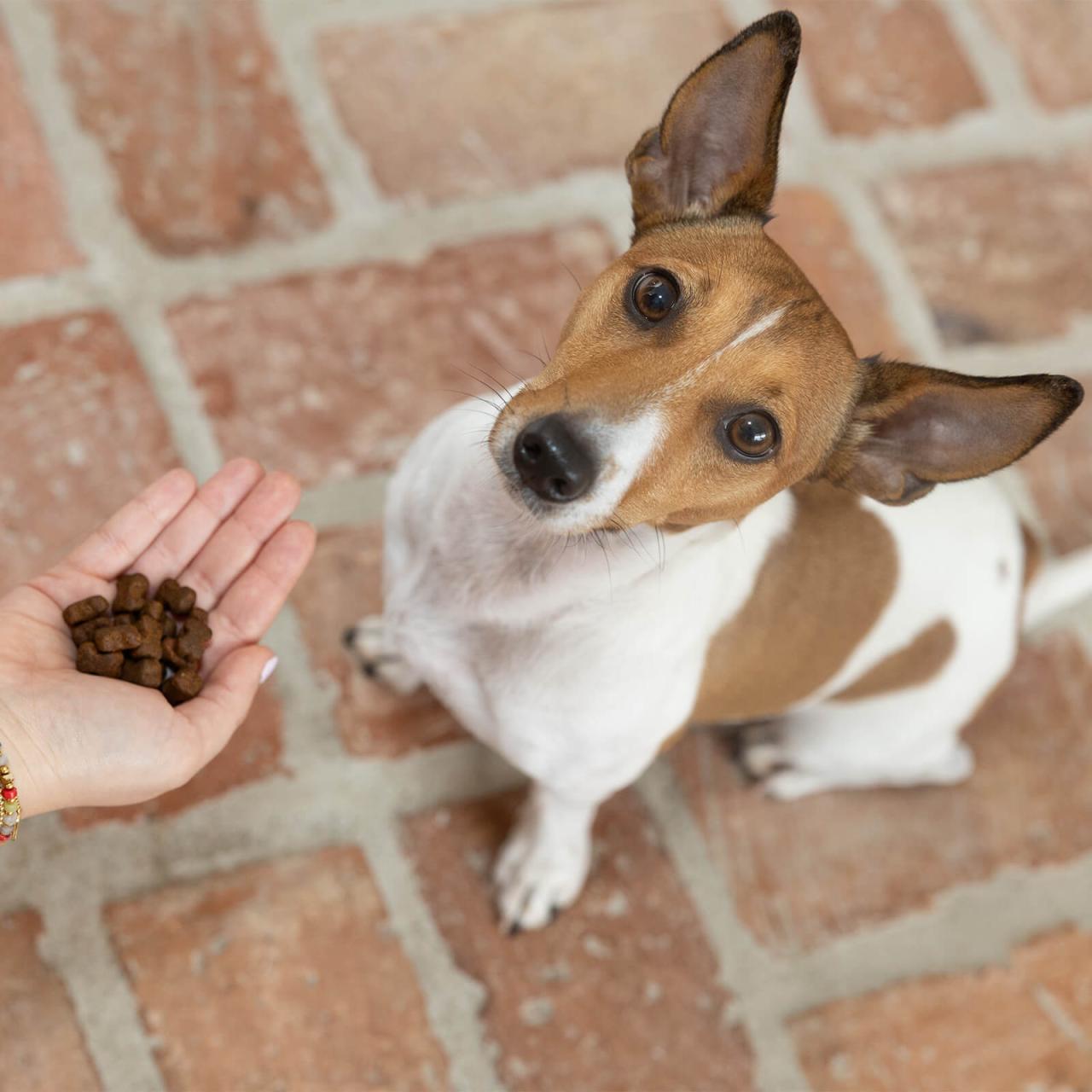 hundefutter-bestesfutter-geflügel-leckerlies-400g hundefutter-bestesfutter-geflügel-leckerlies-400g