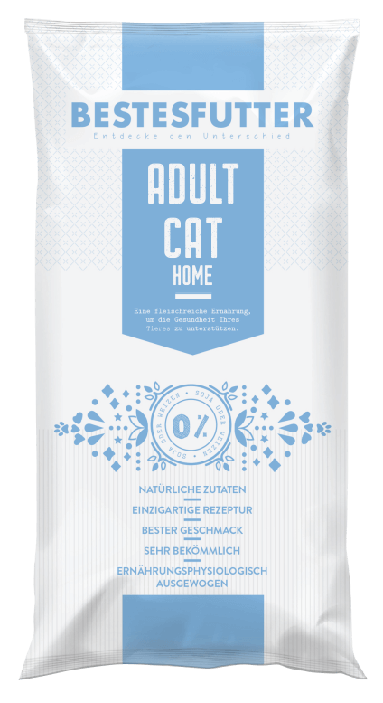 katzenfutter_bestesfutter_adult_cat_home