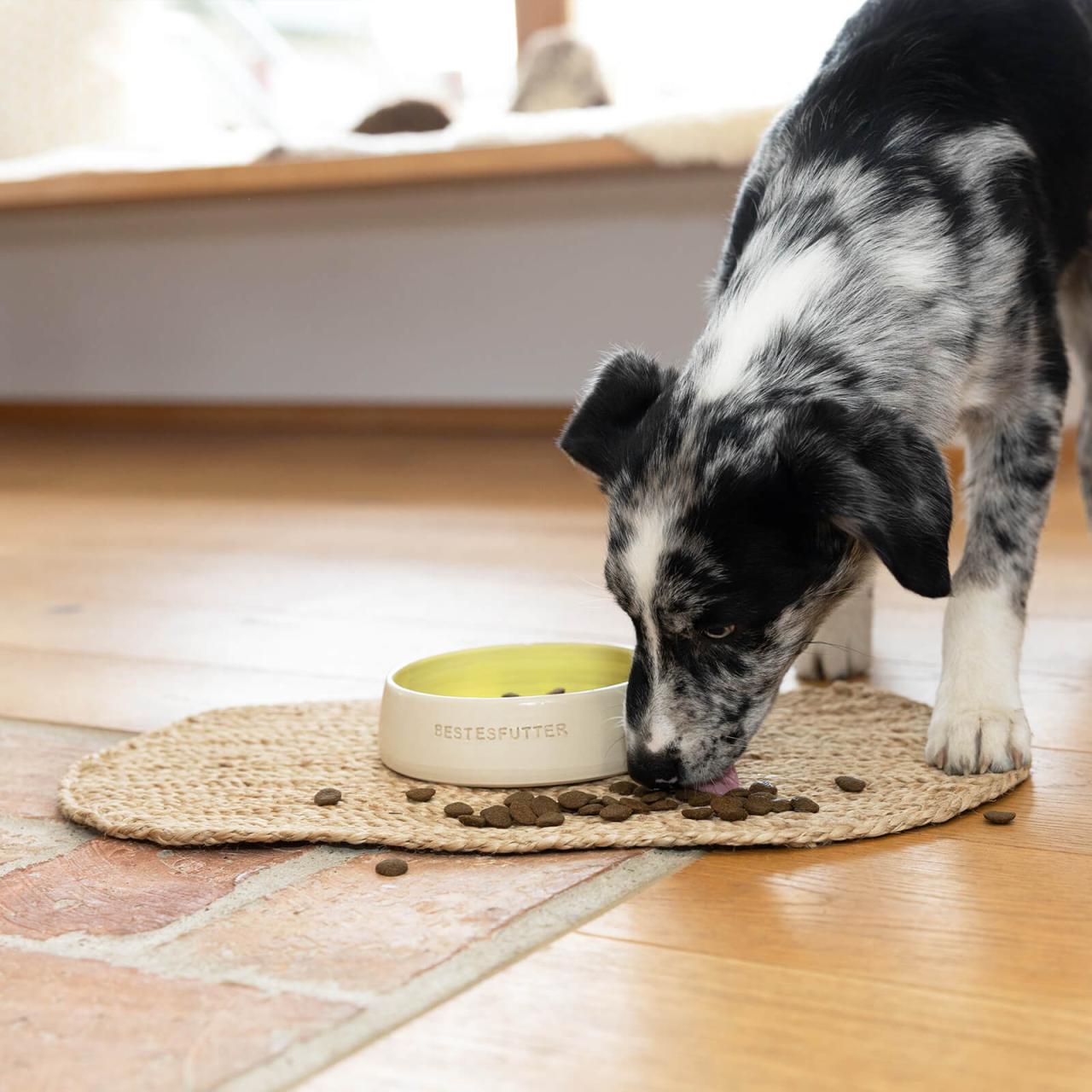 hundefutter_bestesfutter_grain_free_junior