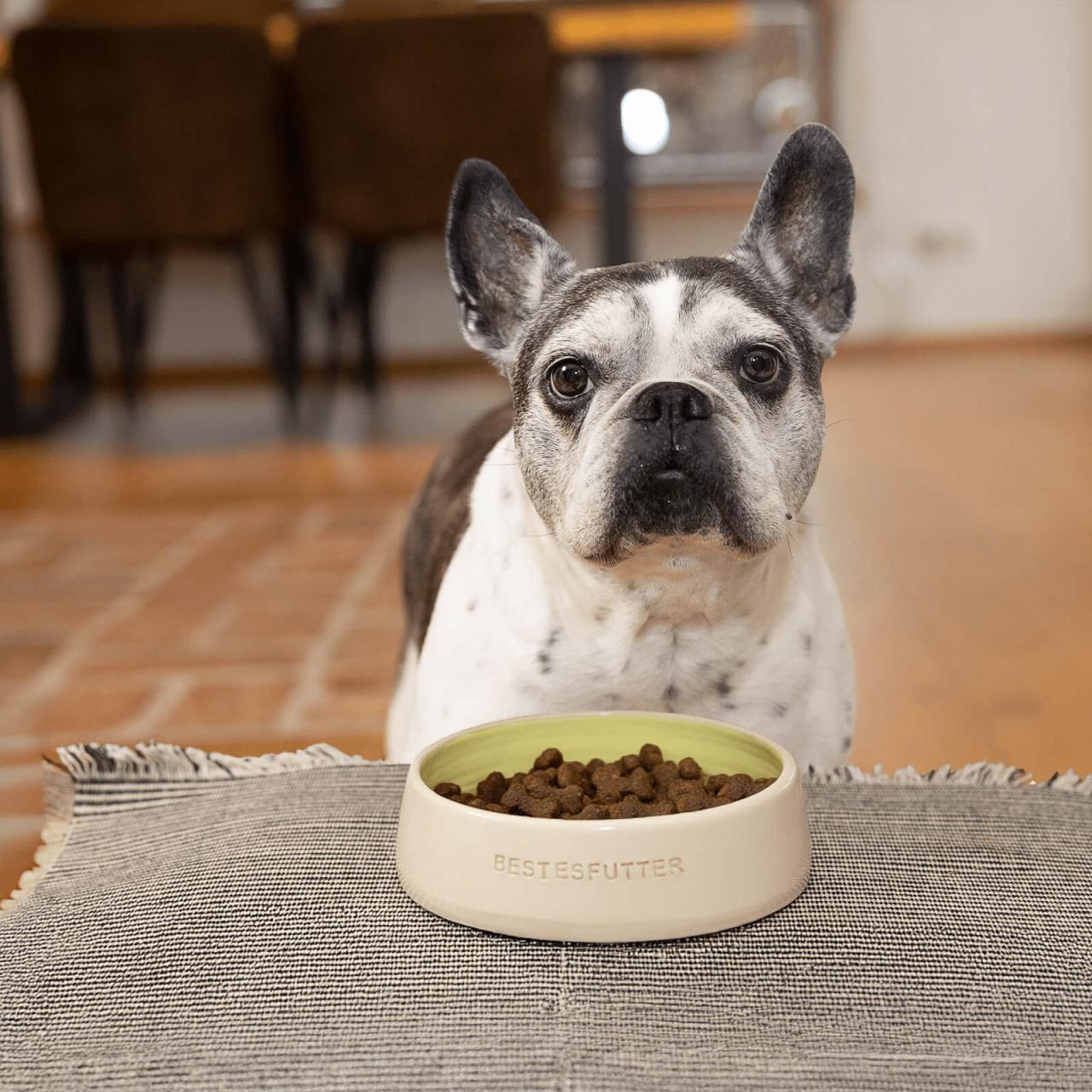 hundefutter_bestesfutter_senior_getreidefrei hundefutter_bestesfutter_senior_getreidefrei