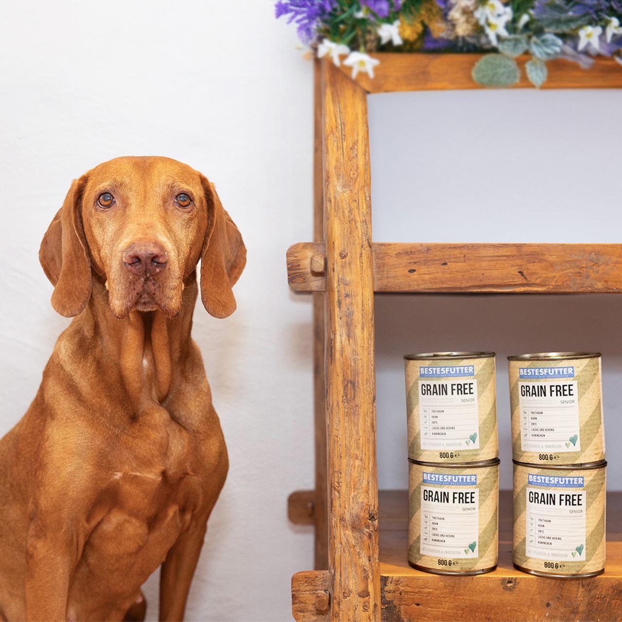 Grain Free Senior Nassfutter (getreidefrei)