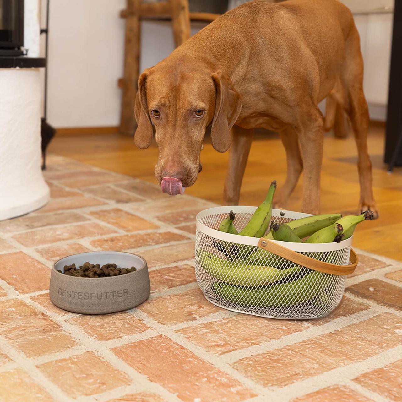 Senior Banane Hundefutter
