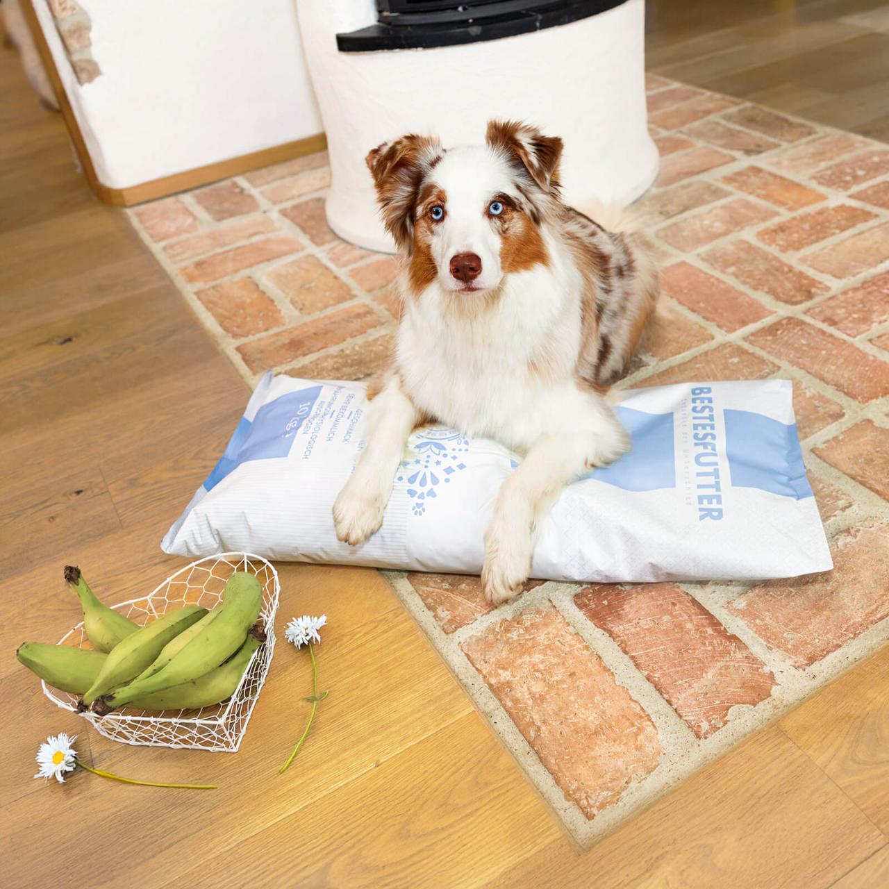 hundefutter_bestesfutter_magic_mit_banane