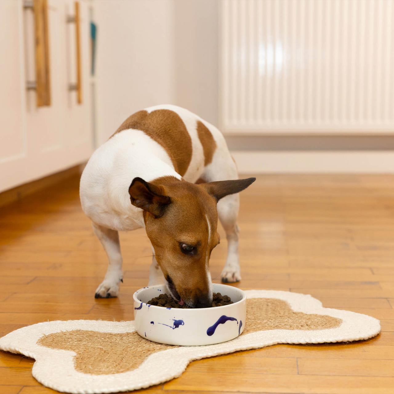 hundefutter_bestesfutter_fenrier_getreidefrei hundefutter_bestesfutter_fenrier_getreidefrei