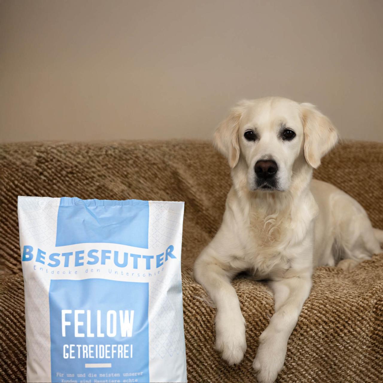 hundefutter_bestesfutter_fellow_getreidefrei