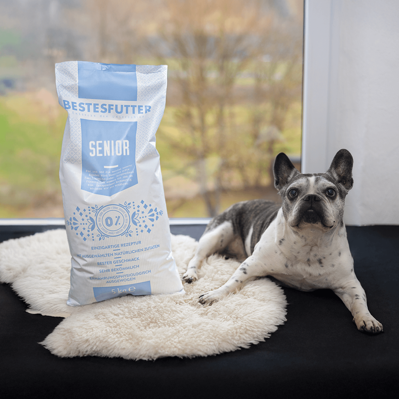 hundefutter_bestesfutter_senior