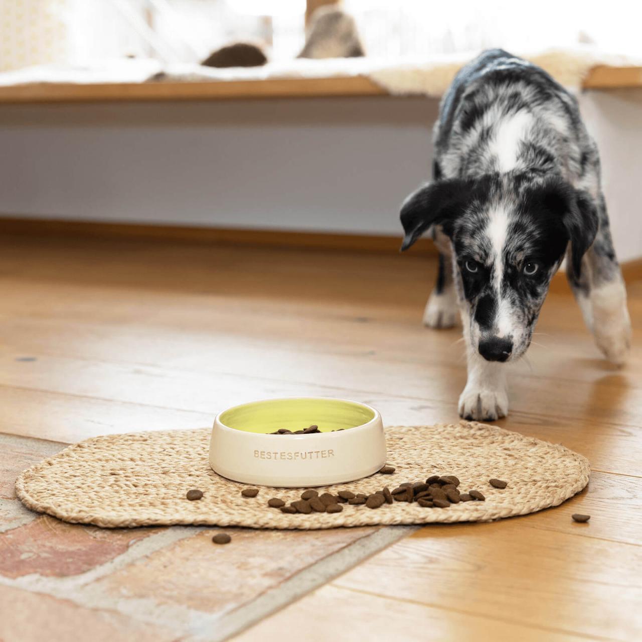 hundefutter_bestesfutter_grain_free_junior