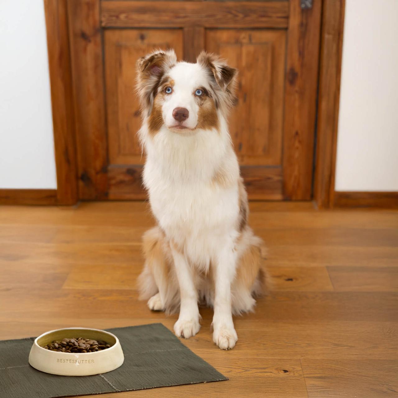 bestesfutter-hundefutter-grain-free-adult
