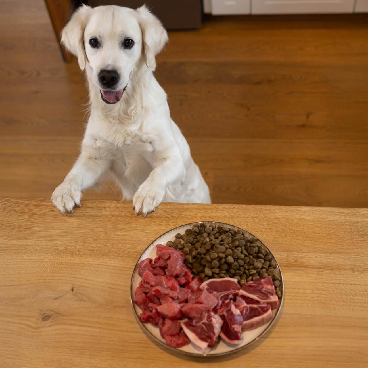 hundefutter_bestesfutter_barf_plus hundefutter_bestesfutter_barf_plus
