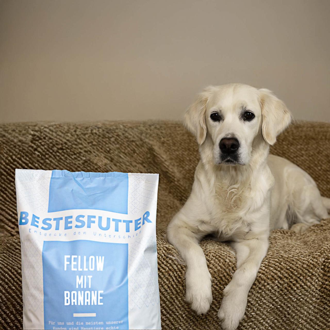 hundefutter_bestesfutter_fellow_mit_banane