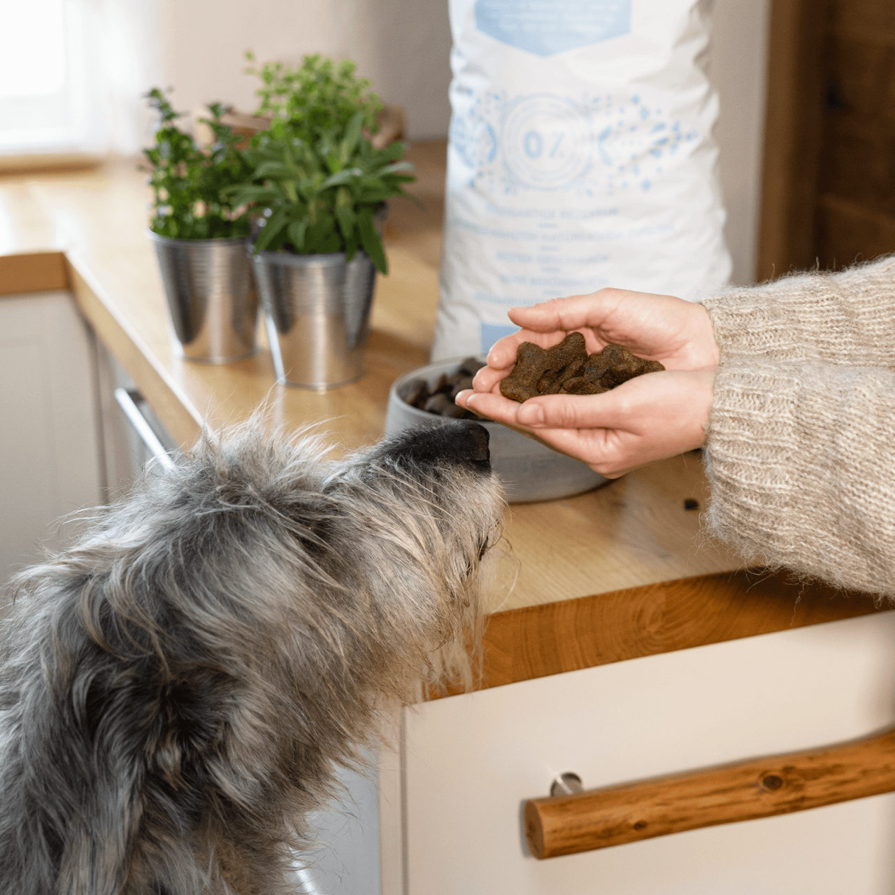 hundefutter_bestesfutter_fenrier_big_bones