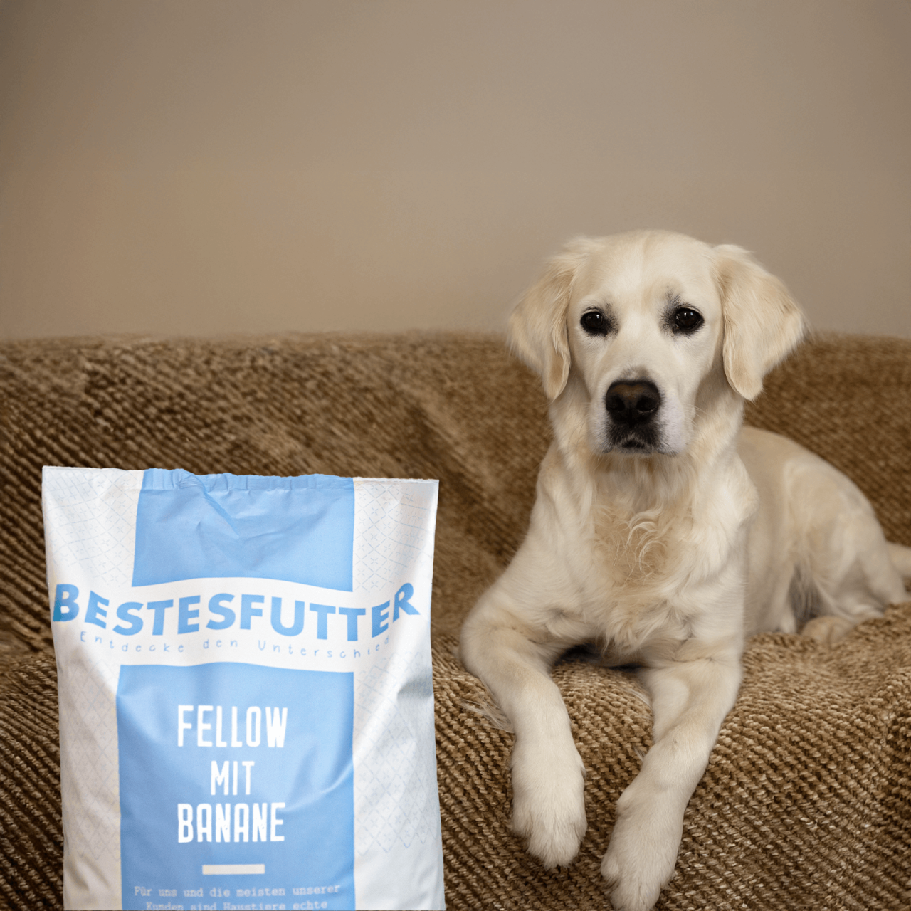 hundefutter_bestesfutter_fellow_mit_banane