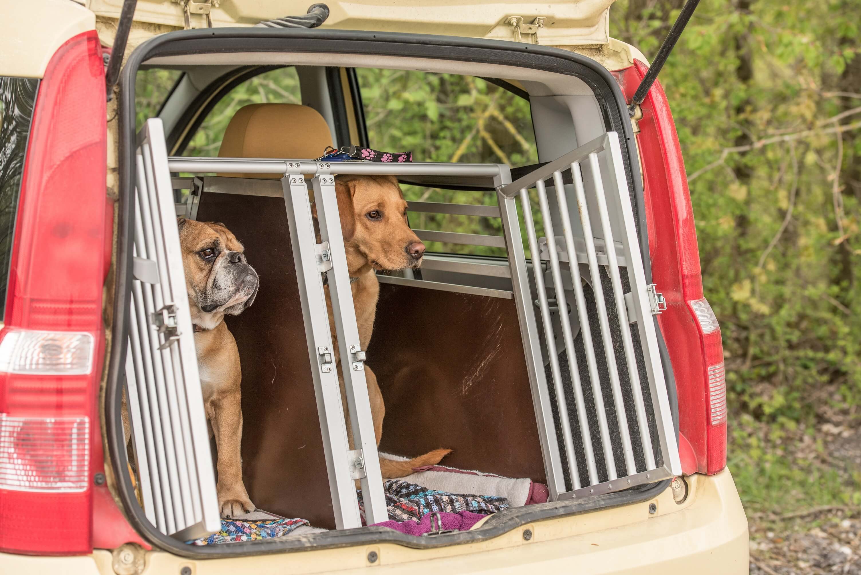 Mach deinen Kofferraum hundefreundlich.  Transportbox hund auto,  Transportbox hund, Hund auto