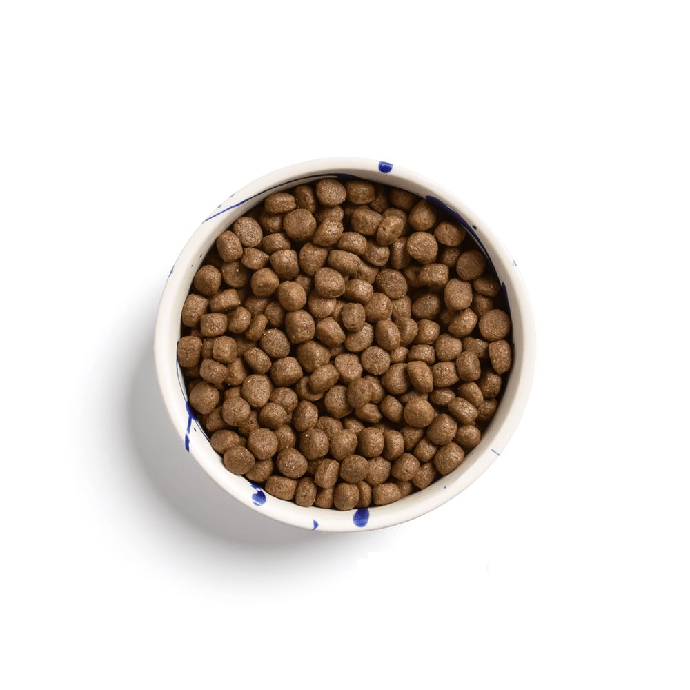 bestesfuttter-meatballs-fisch