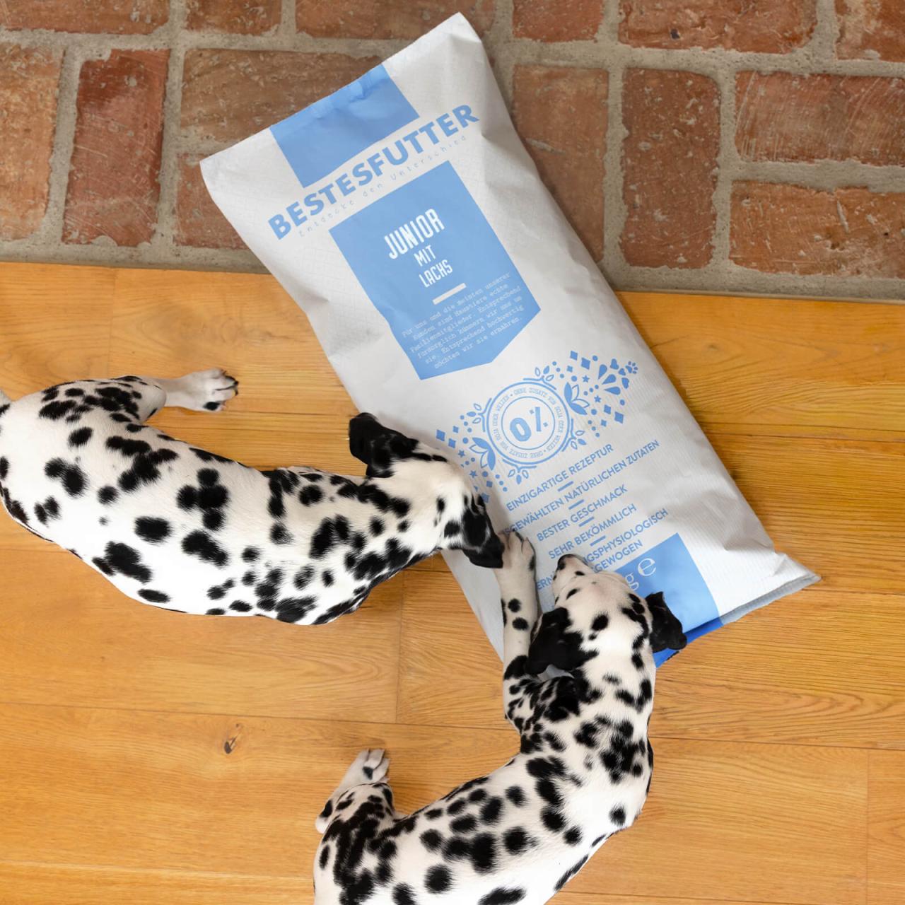 Hundefutter_Bestesfutter_Junior_Mit_Lachs