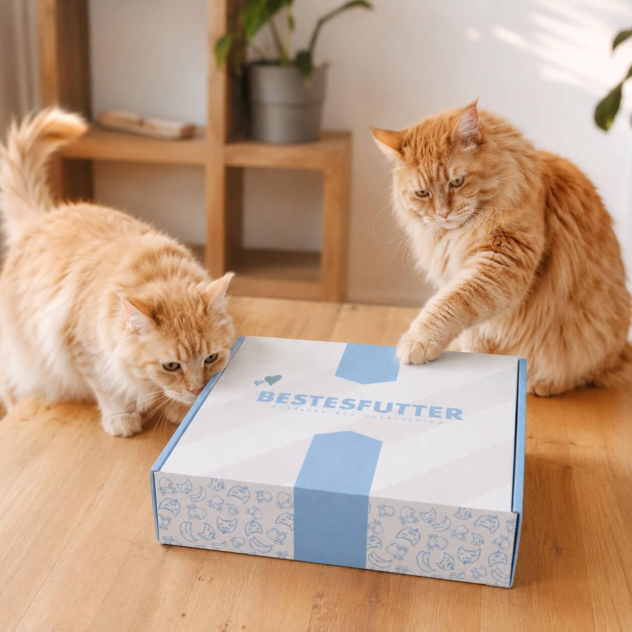 bestesfutter-infopaket-futterprobe