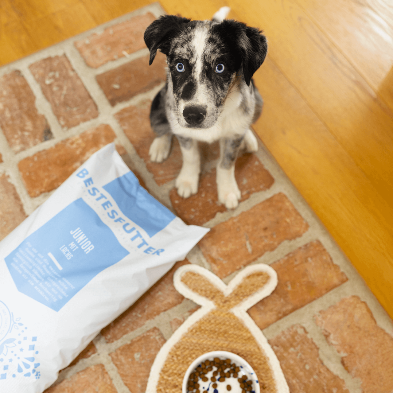 Hundefutter_Bestesfutter_Junior_Mit_Lachs