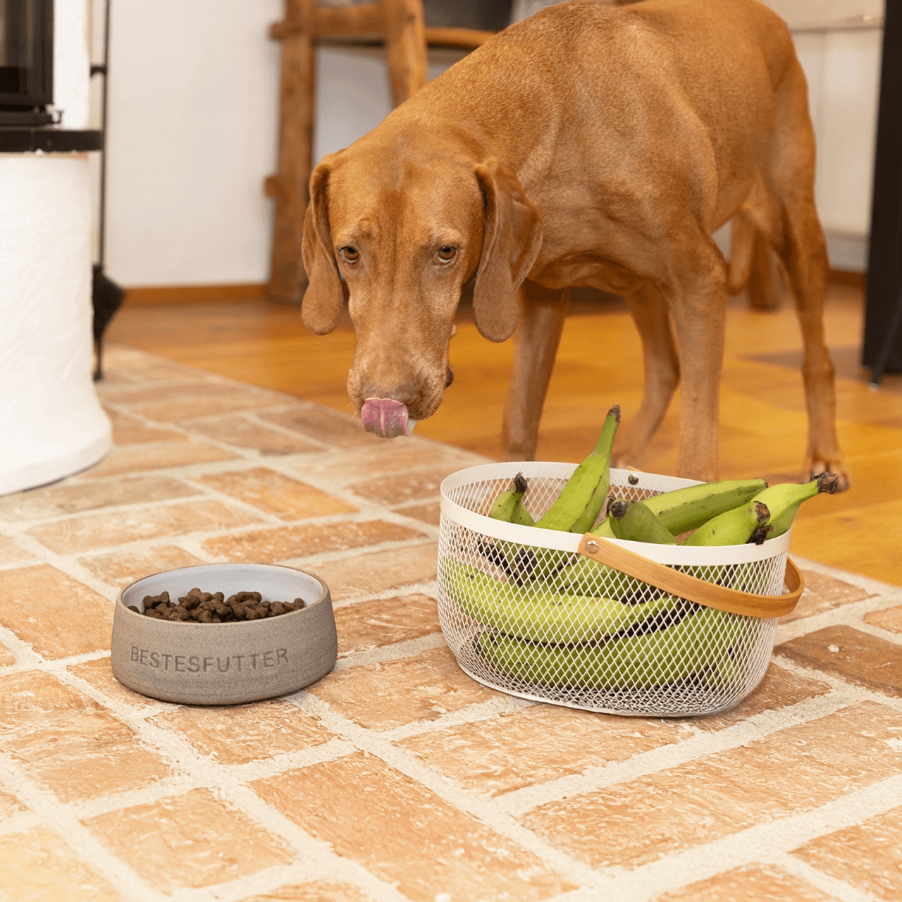 hundefutter_bestesfutter_senior_mit_banane