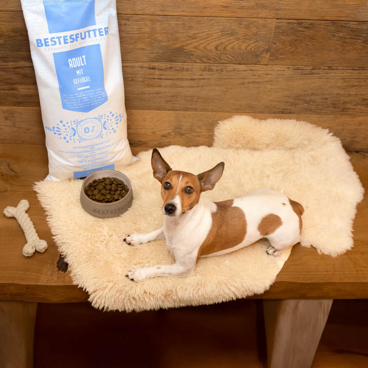 Hundefutter_Bestesfutter_Adult_Mit_Geflügel