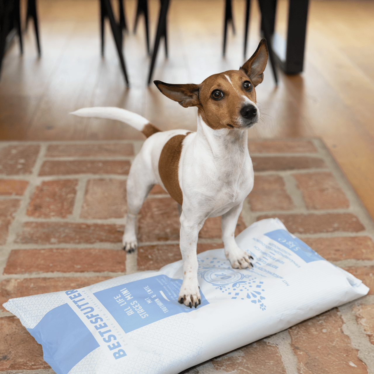 hundefutter_bestesfutter_all_life_stages_mini_mit_truthahn_und_ente