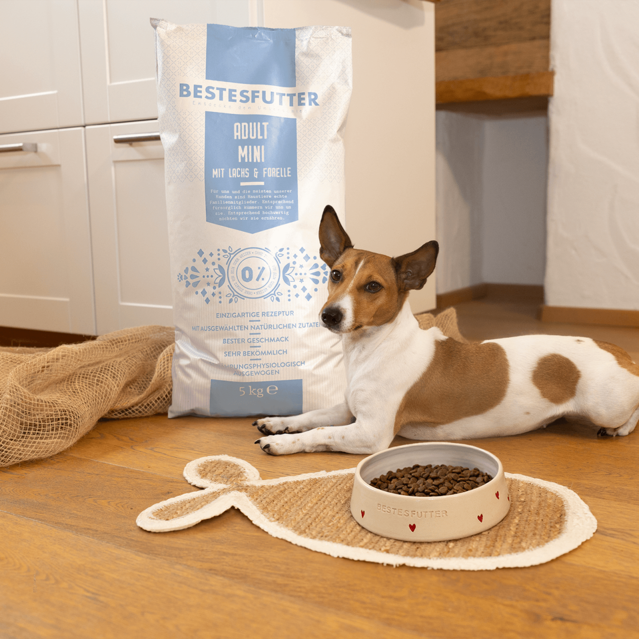 hundefutter_bestesfutter_adult_mini_mit_lachs_und_forelle hundefutter_bestesfutter_adult_mini_mit_lachs_und_forelle