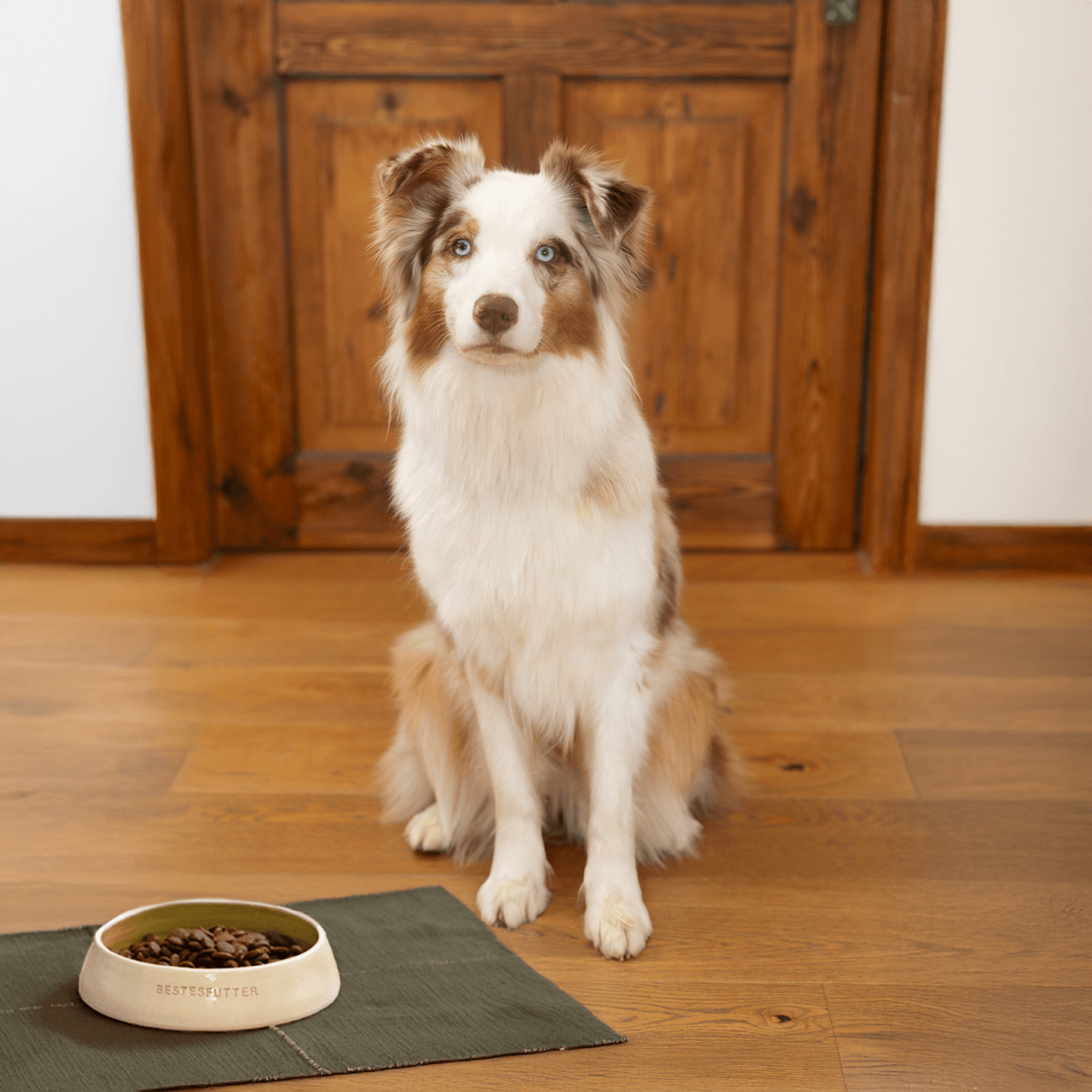 bestesfutter-hundefutter-grain-free-adult bestesfutter-hundefutter-grain-free-adult